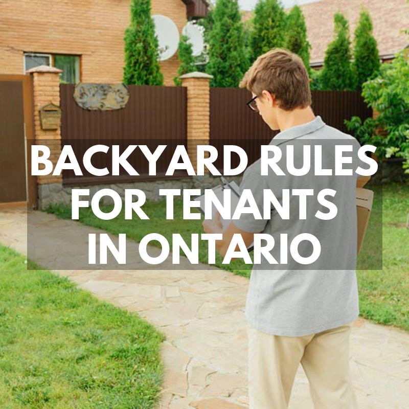 Backyard Rules for Tenants Ontario