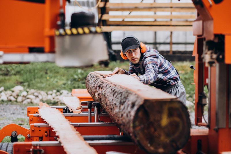 carpenter sawmill cutting wood for outdoor furniture